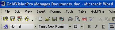 GoldVisionPro Word Add-in